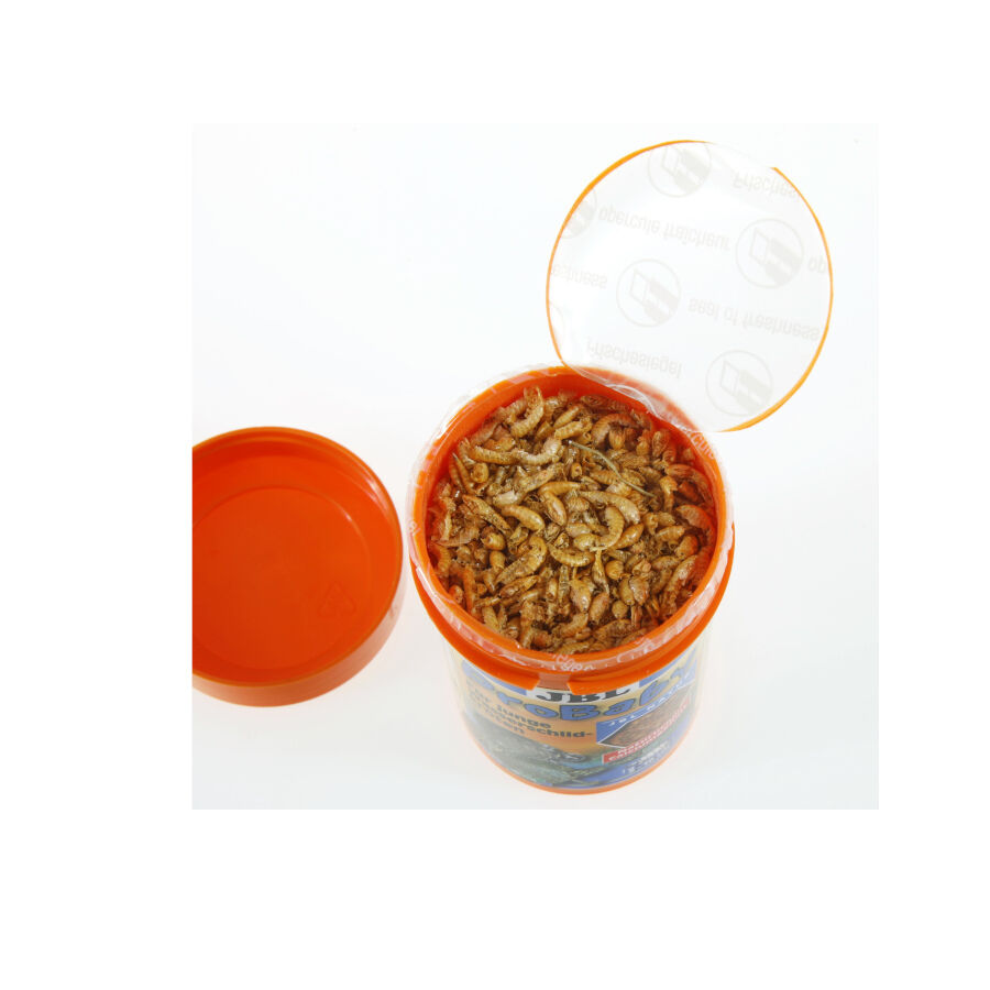 JBL ProBaby Alimento para tortugas acu&aacute;ticas j&oacute;venes, , large indicador imagen numero 5
